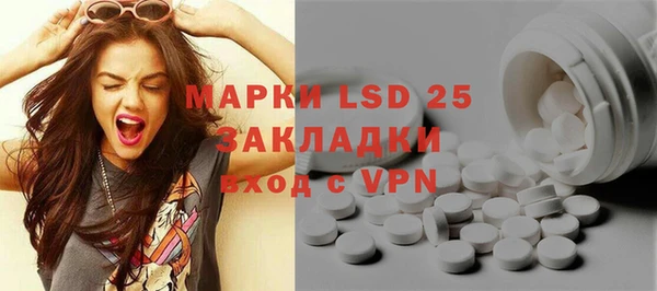 сатива Новозыбков