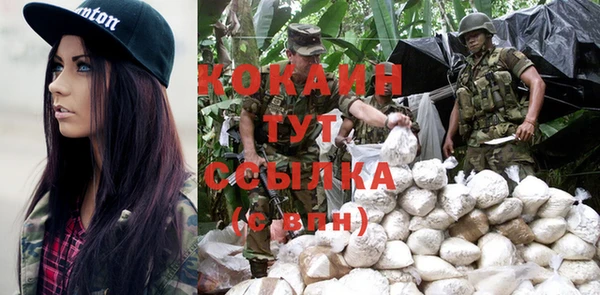 дурь Богданович