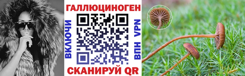 Псилоцибиновые грибы Psilocybine cubensis  Янаул 